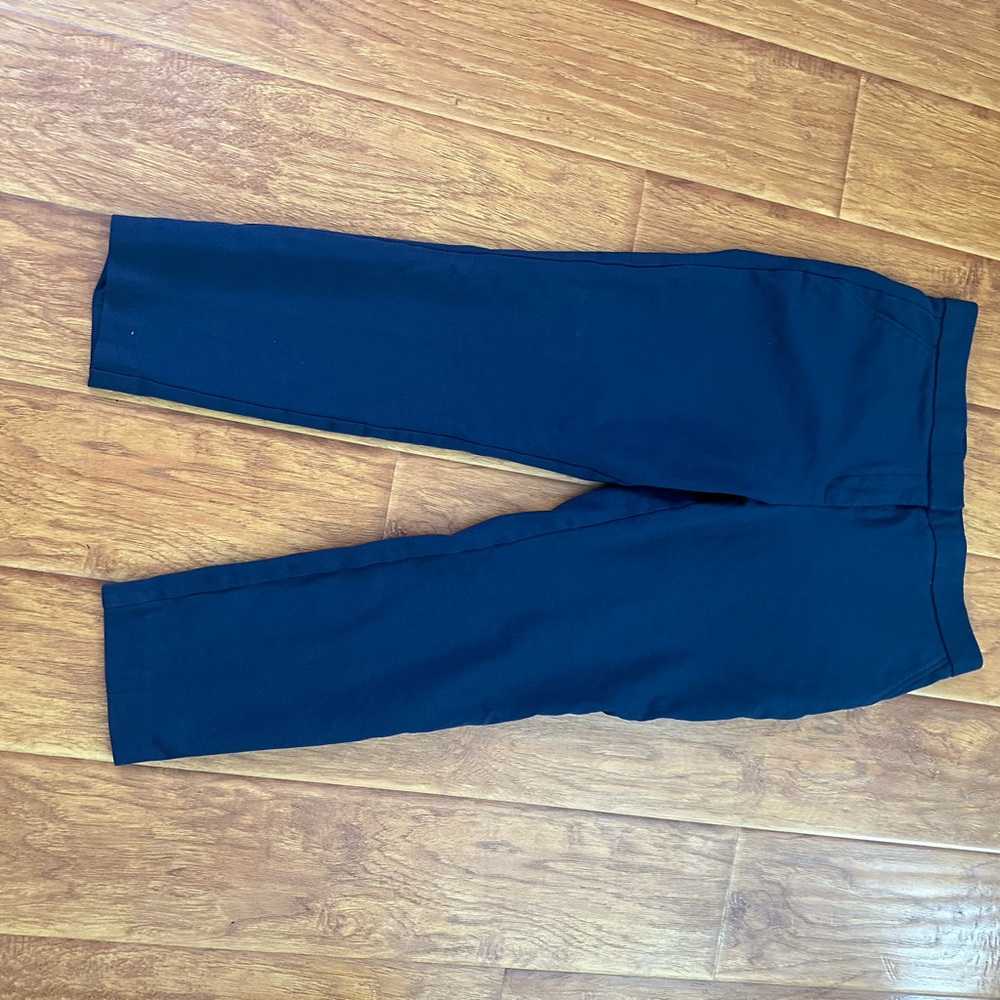 Banana Republic Deep Blue Trousers